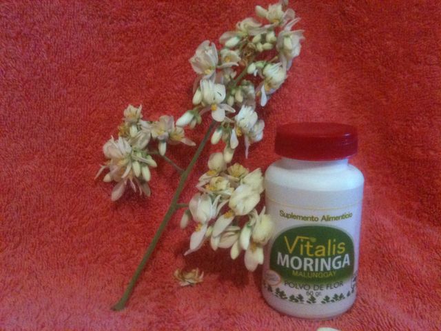 Flor de Moringa Polvo 60 Gr.